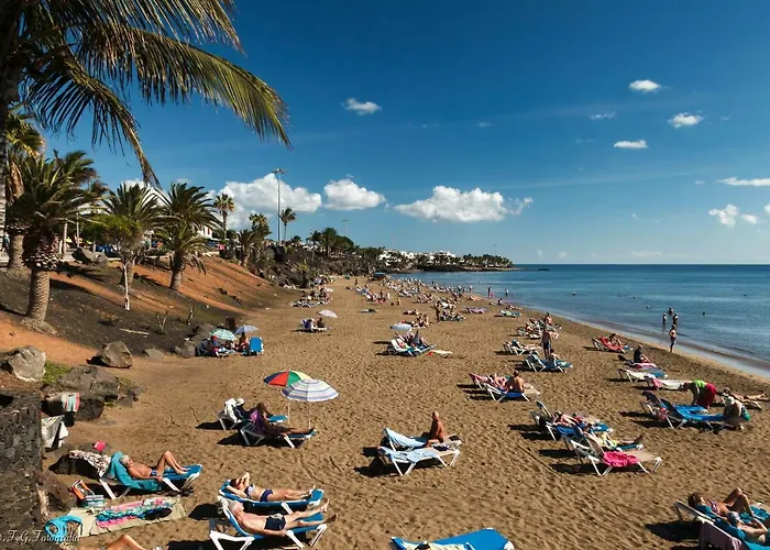 Filla * プエルト・デル・カルメン